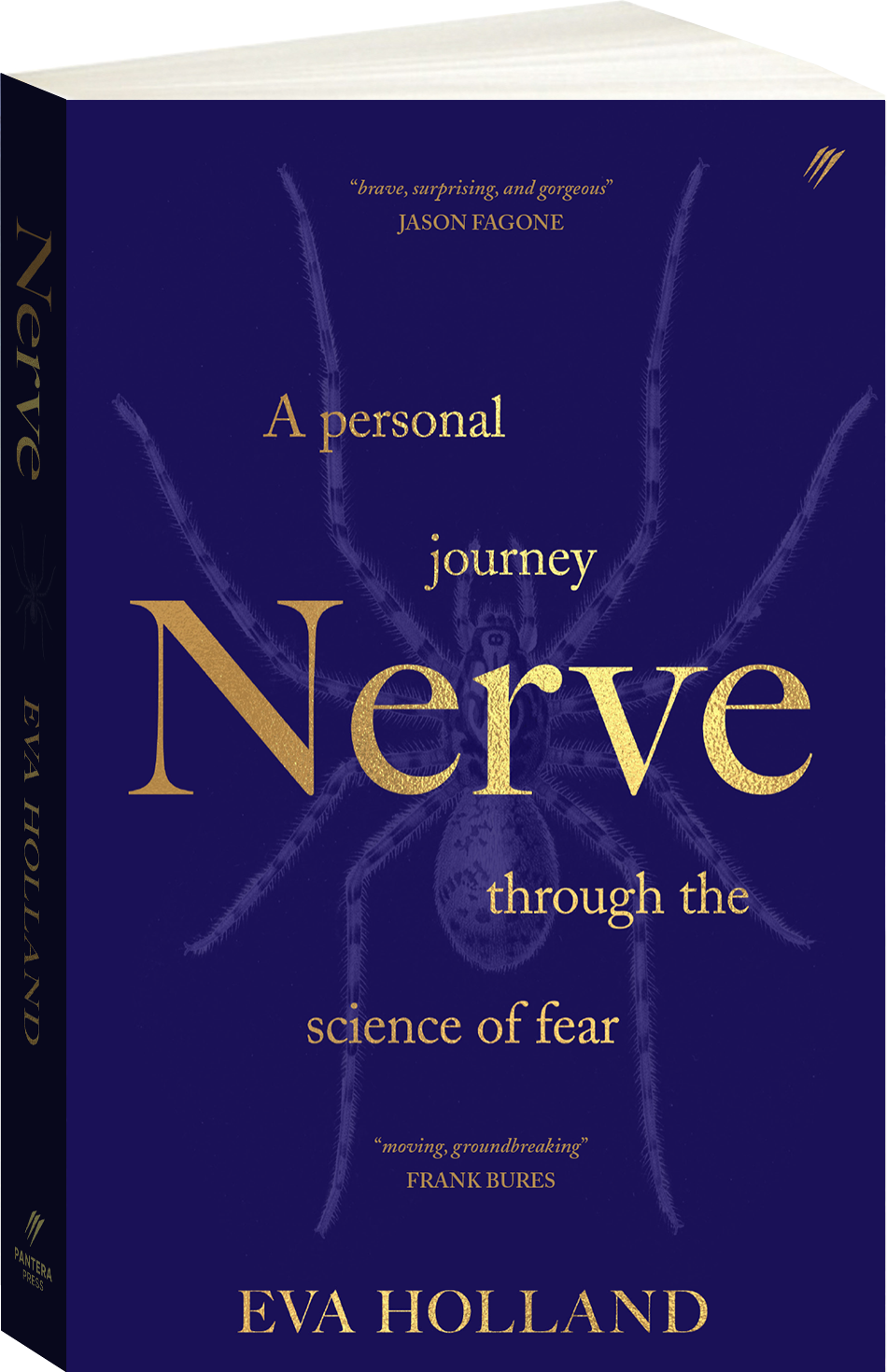 Nerve Cover Image
