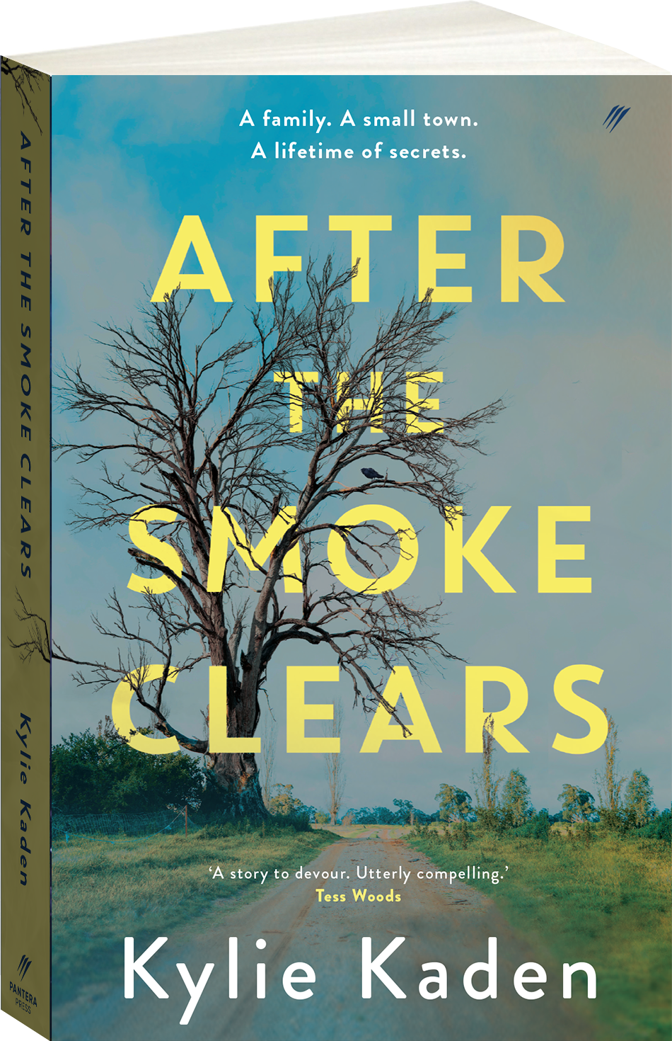 After the Smoke Clears Cover Image