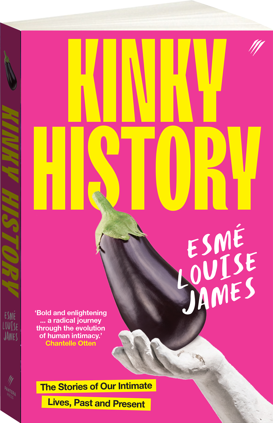Kinky History Cover Image